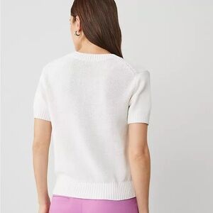 White Short Sleeve Knit Sweater